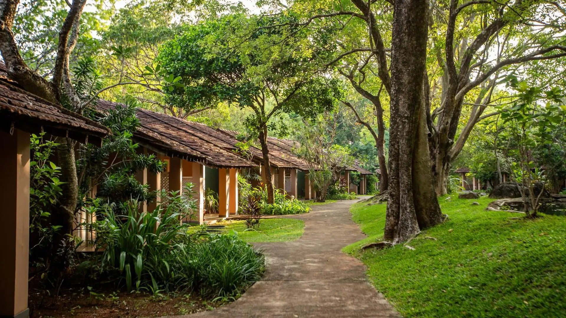 Sigiriya Village