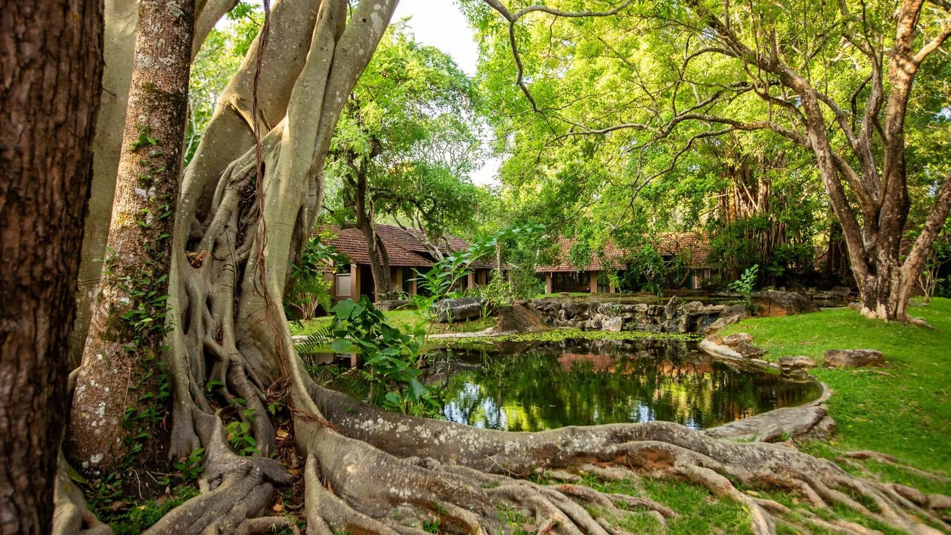 Sigiriya Village סרי לנקה