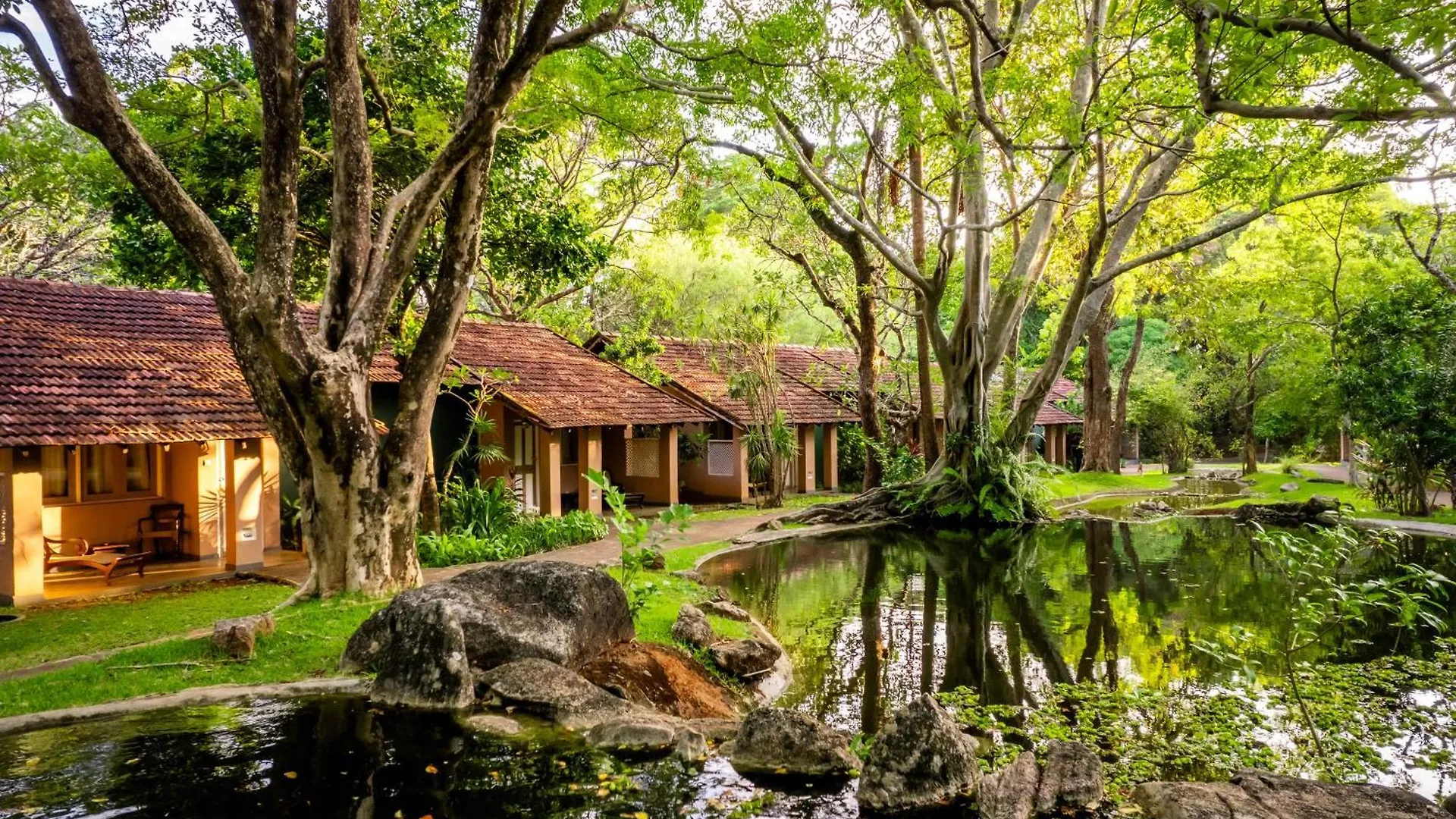 Resort Sigiriya Village