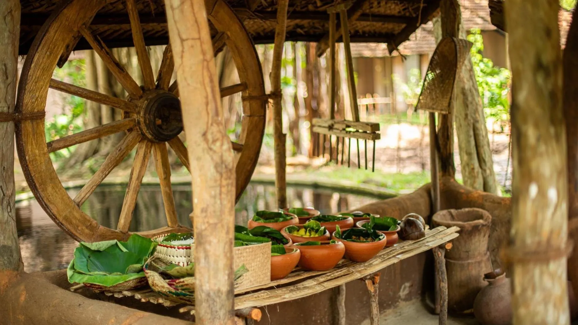 ***** אתר נופש Sigiriya Village סרי לנקה