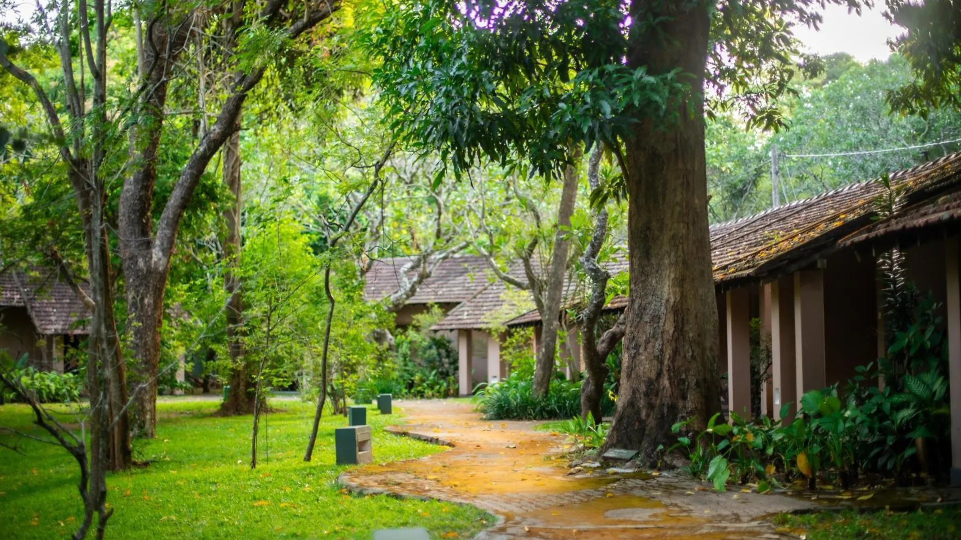 Sigiriya Village אתר נופש