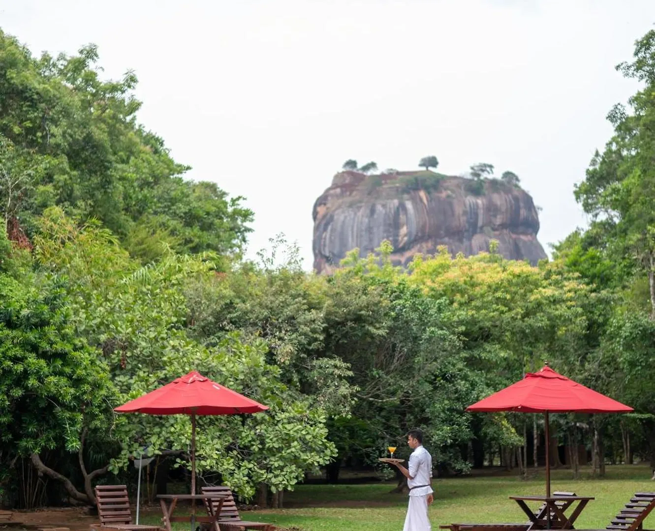 Semesteranläggning (resort) Sigiriya Village