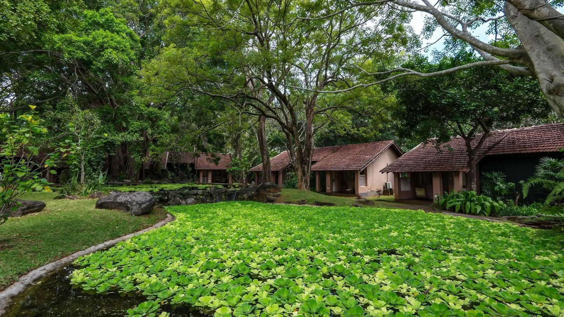 ***** Semesteranläggning (resort) Sigiriya Village Sri Lanka