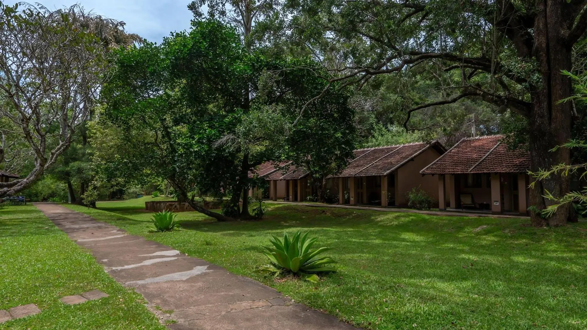 Semesteranläggning (resort) Sigiriya Village