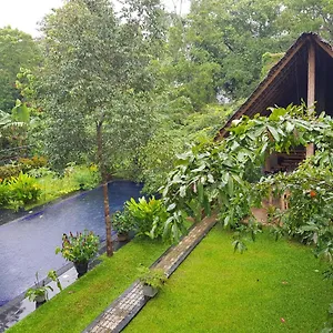 Il Frangipane Sigiriya