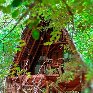 Tree House Ambasewana 度假村